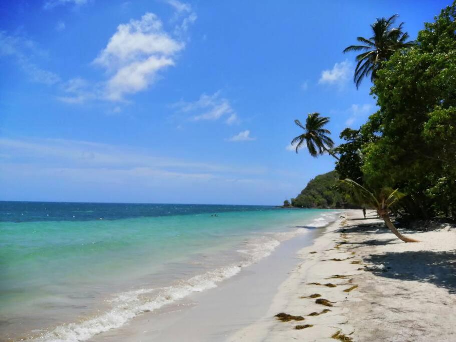 Mi Hermosa - Casa Islena A 70 Metros De La Playa *
